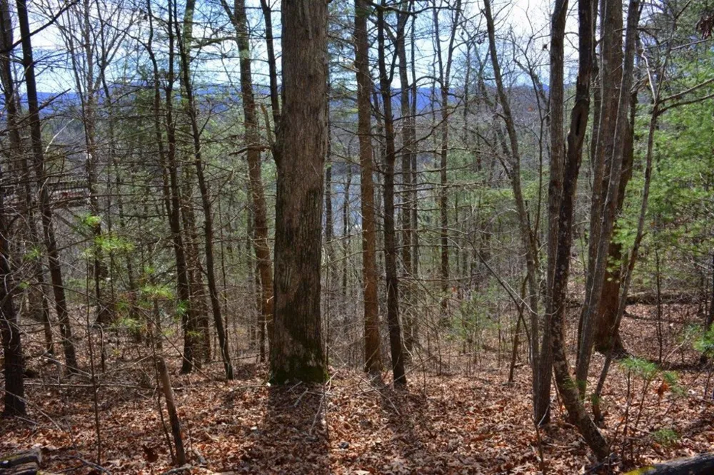 00 Chestnut Ridge Robbinsville, NC 28771