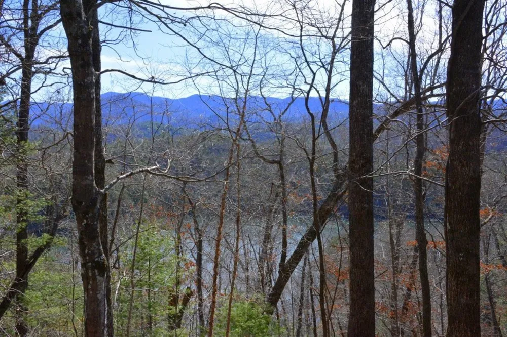 00 Chestnut Ridge Robbinsville, NC 28771
