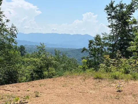 501 Cliff Top Trail