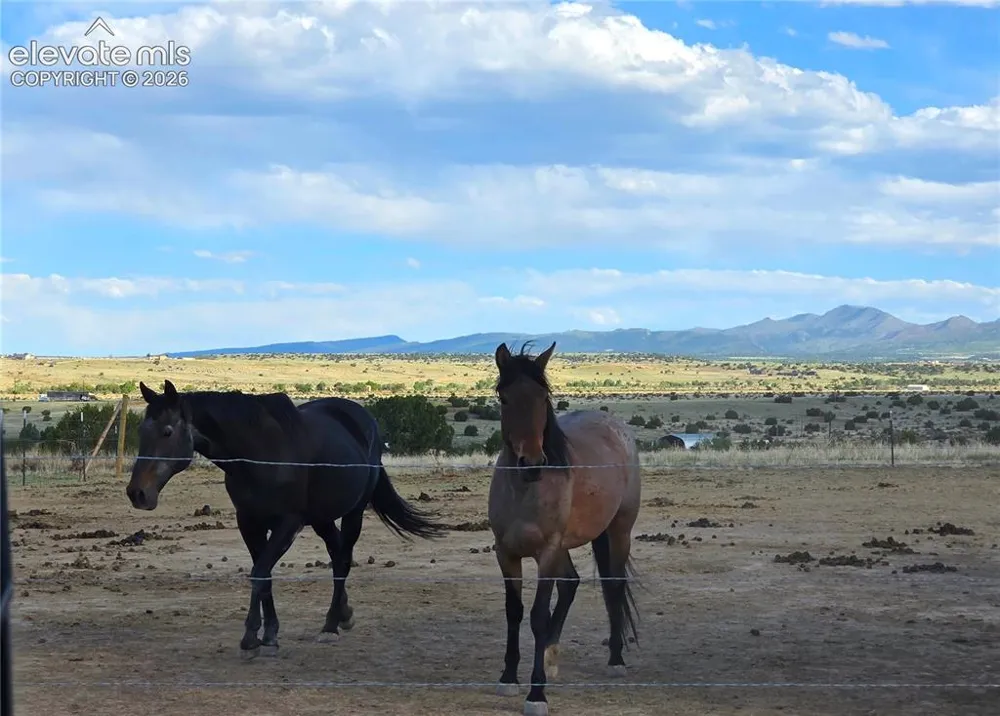8650 HIGHWAY 67 Florence, CO 81226