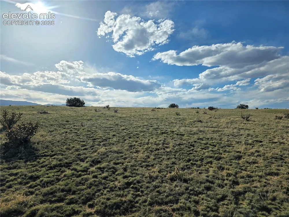 8650 HIGHWAY 67 Florence, CO 81226