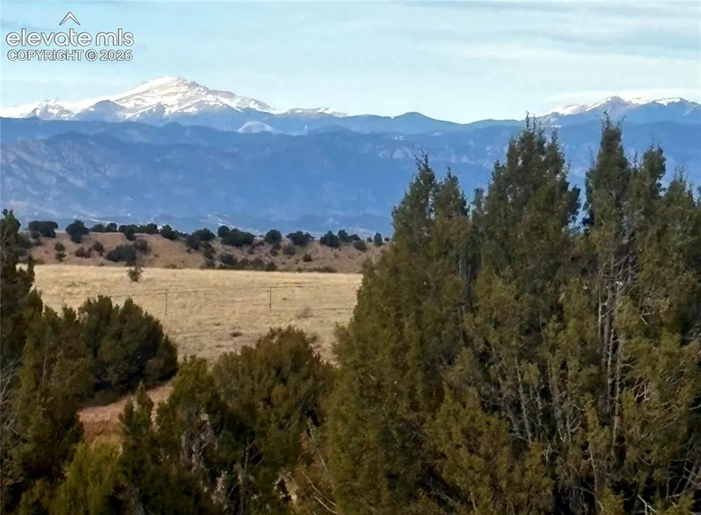 8650 HIGHWAY 67 Florence, CO 81226