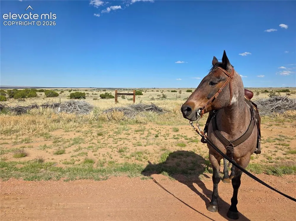 8650 HIGHWAY 67 Florence, CO 81226