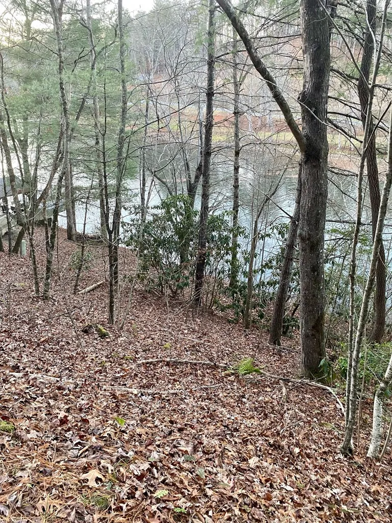 Lot 5 The Landings Robbinsville, NC 28771