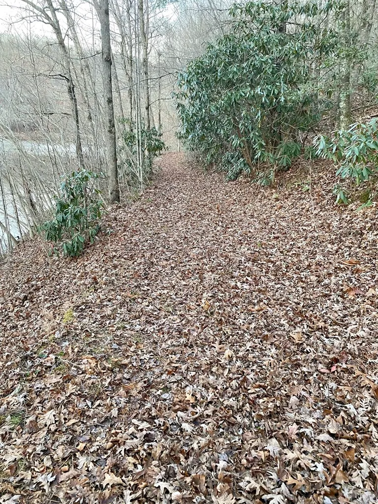 Lot 5 The Landings Robbinsville, NC 28771