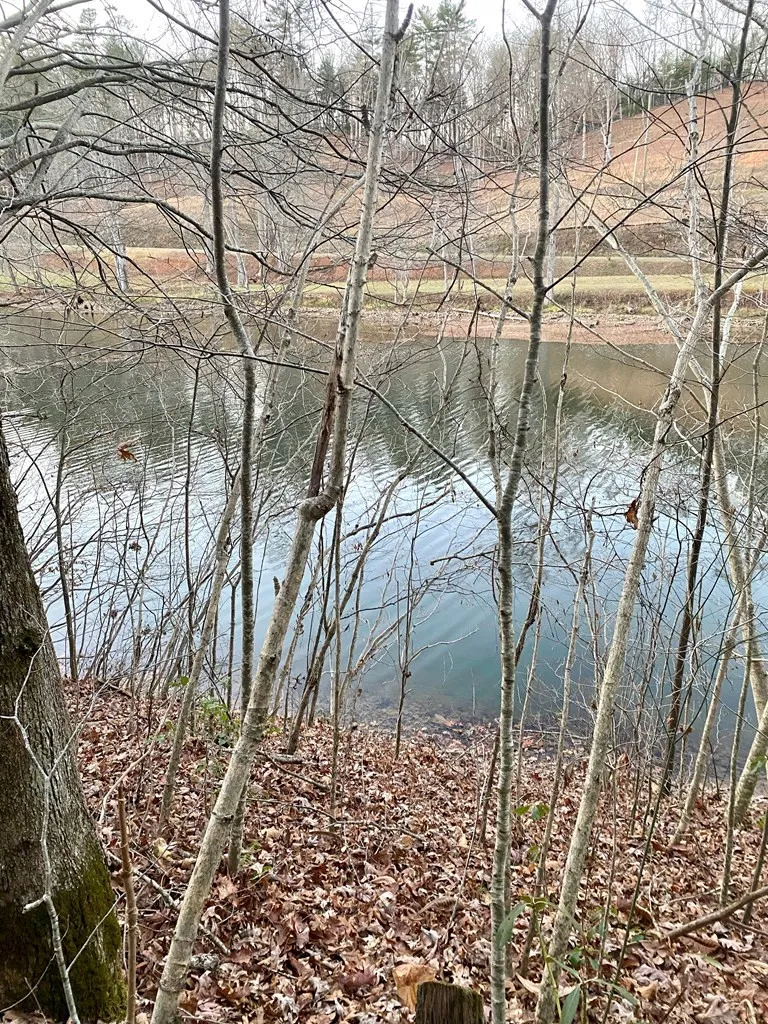Lot 5 The Landings Robbinsville, NC 28771