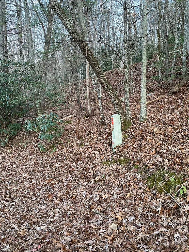 Lot 5 The Landings Robbinsville, NC 28771