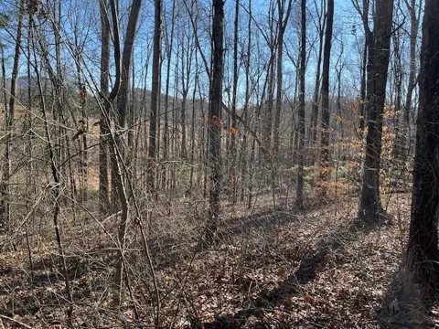 Lot 2e The Woodlands