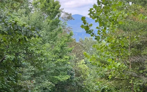 Lot 11 The Preserve
