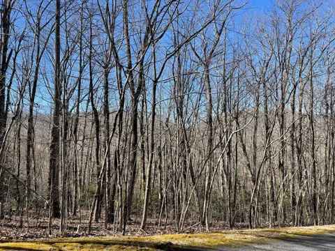 Lot 34j Ash Branch Road