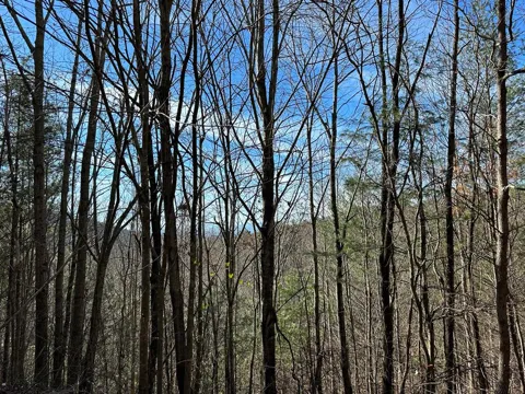5 lots Ali Drive
