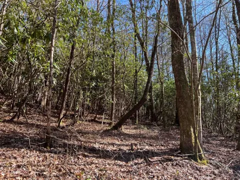 4.90 Wayah Road