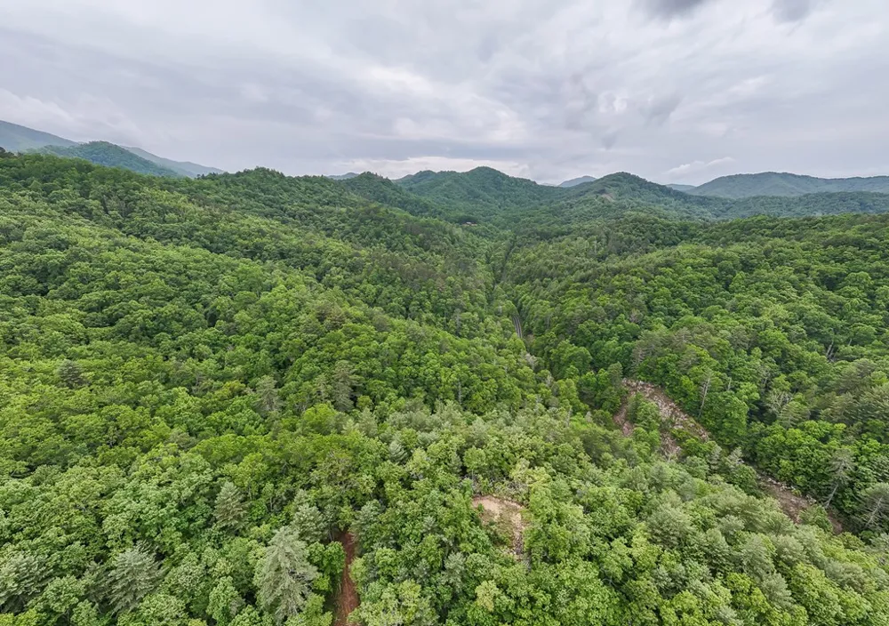 399 Shell Stand Road Almond, NC 28702