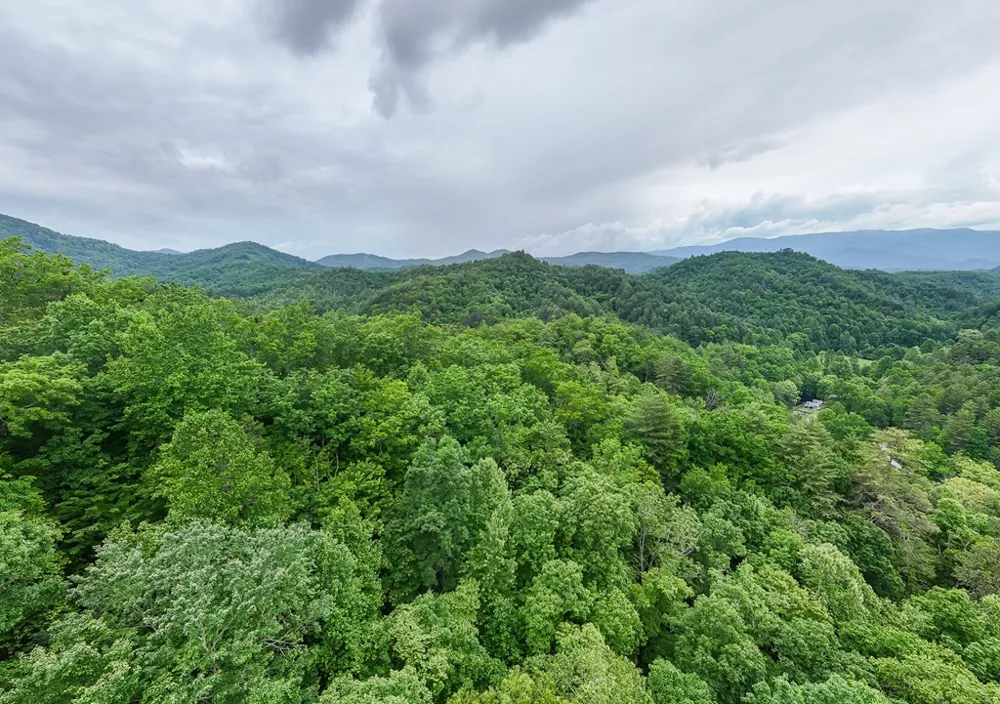 399 Shell Stand Road Almond, NC 28702