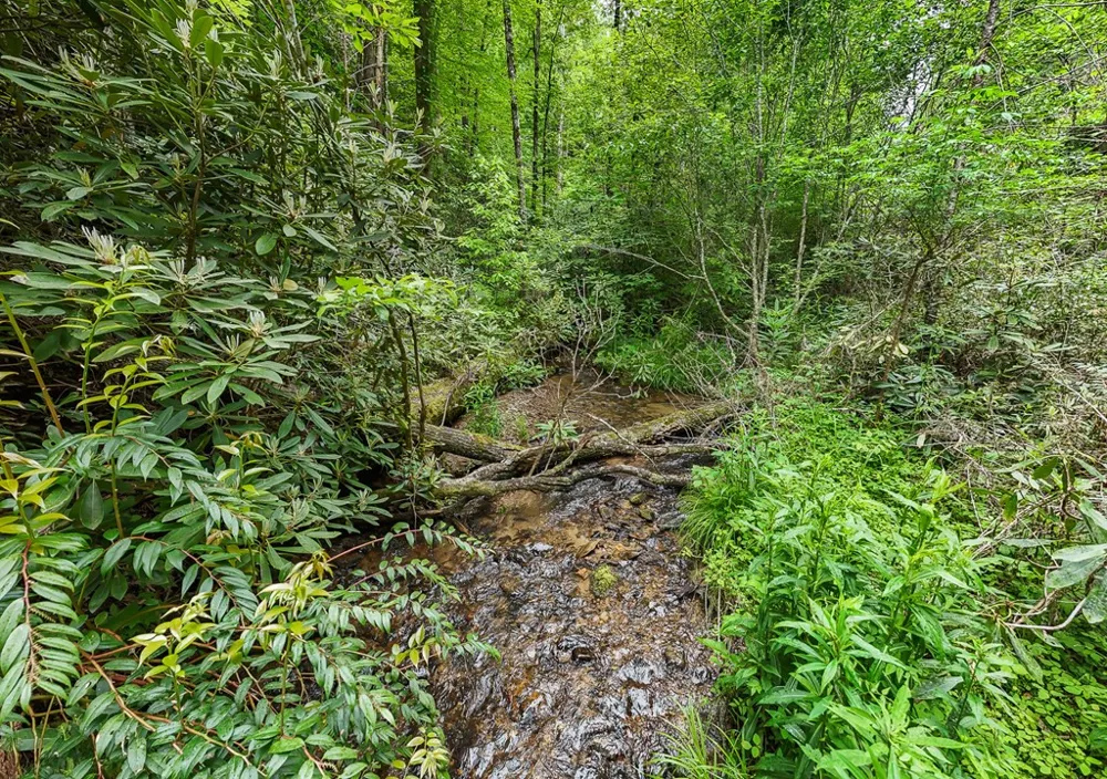 399 Shell Stand Road Almond, NC 28702