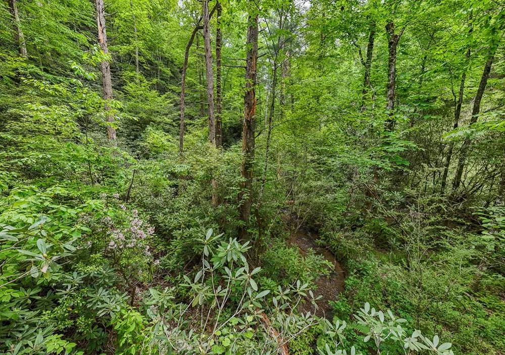 399 Shell Stand Road Almond, NC 28702