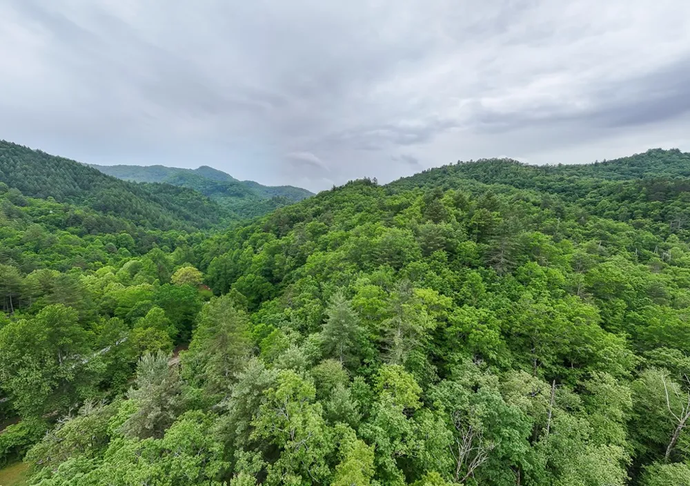 399 Shell Stand Road Almond, NC 28702