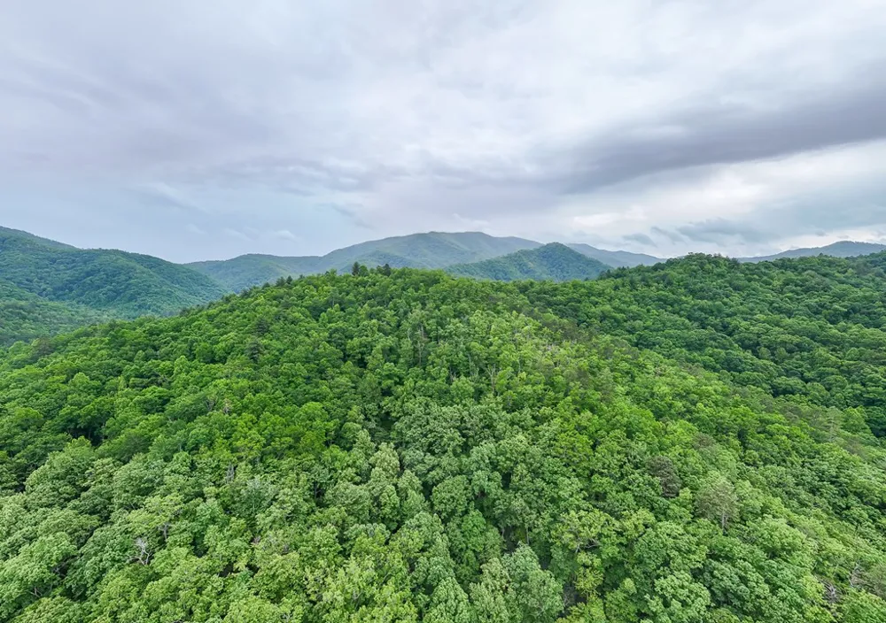 399 Shell Stand Road Almond, NC 28702