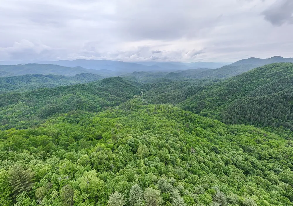 399 Shell Stand Road Almond, NC 28702