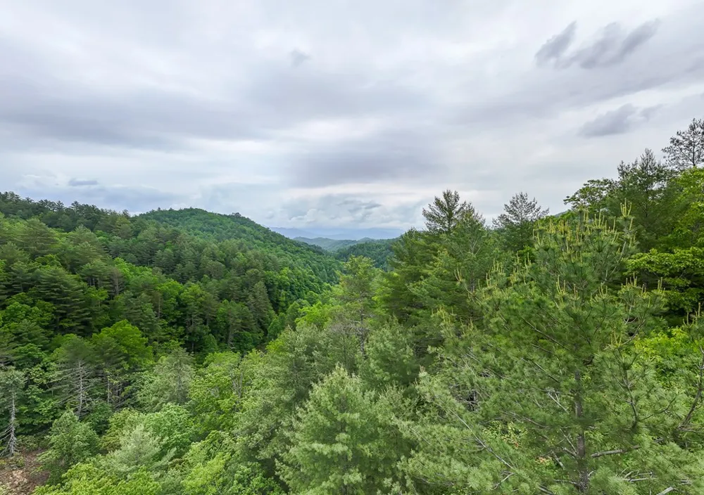 399 Shell Stand Road Almond, NC 28702