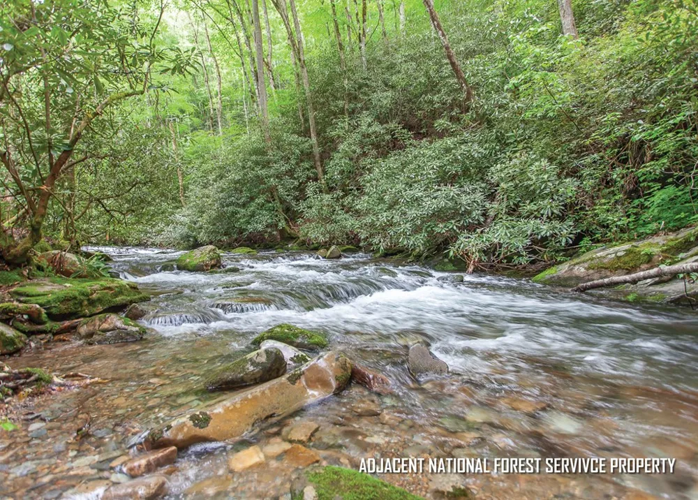 399 Shell Stand Road Almond, NC 28702