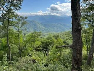 Lot 30 Hickory Cove Road