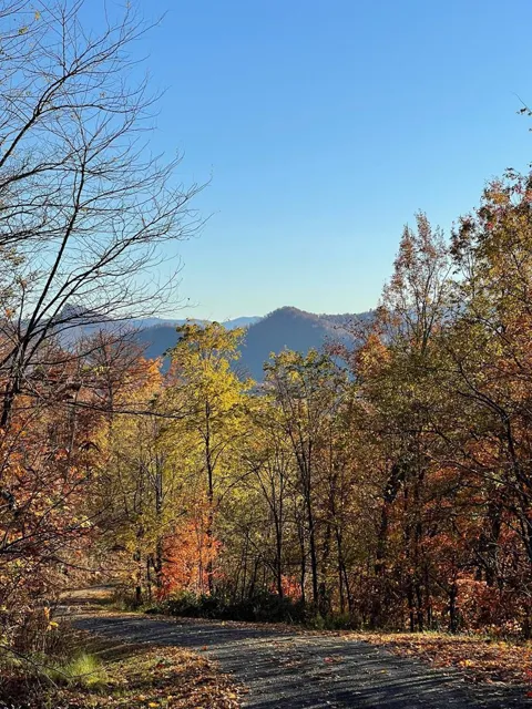 Lot 58m Ridges