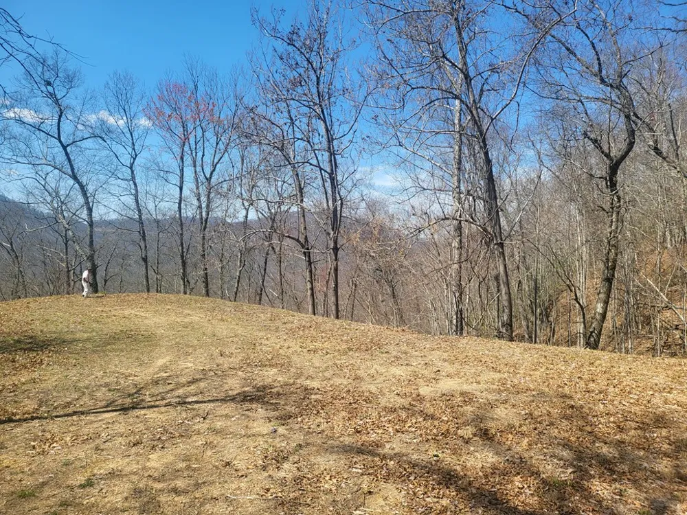 SR 1229 Dry Creek Robbinsville, NC 28771