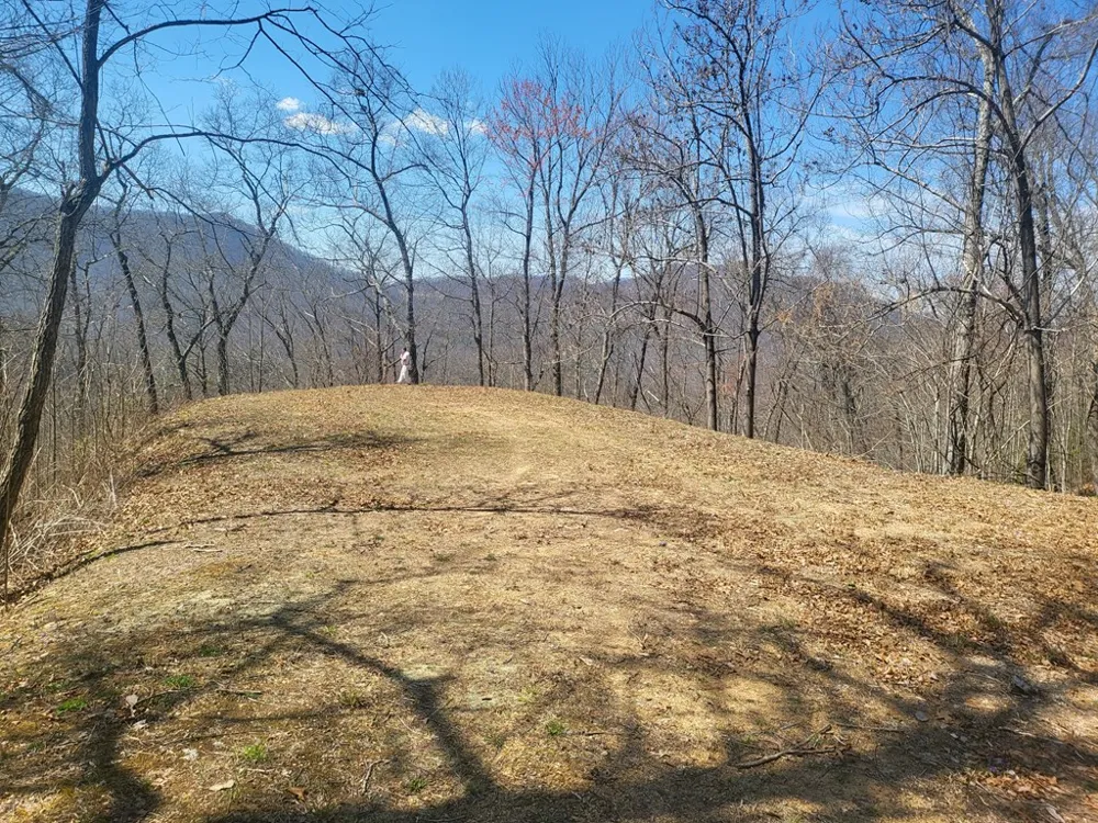SR 1229 Dry Creek Robbinsville, NC 28771