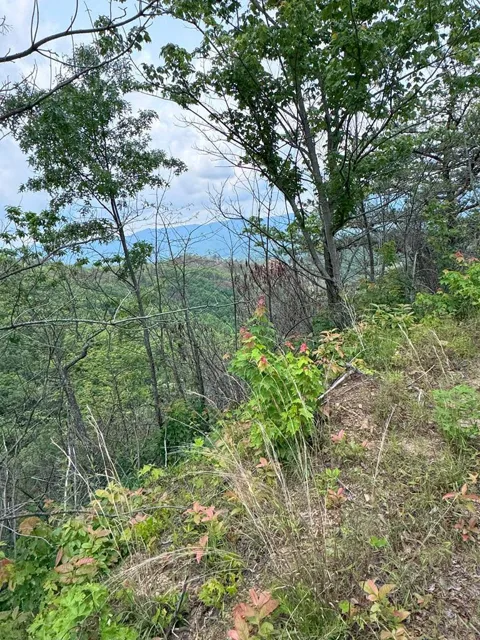 88 acres Bolden Branch