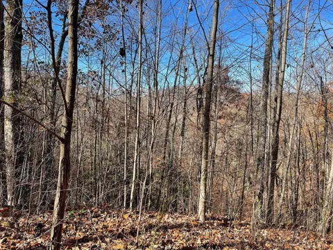 Lot 49j Indian Trail