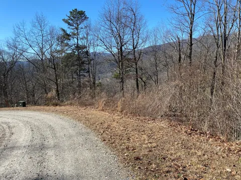 Lot 42 Silo View