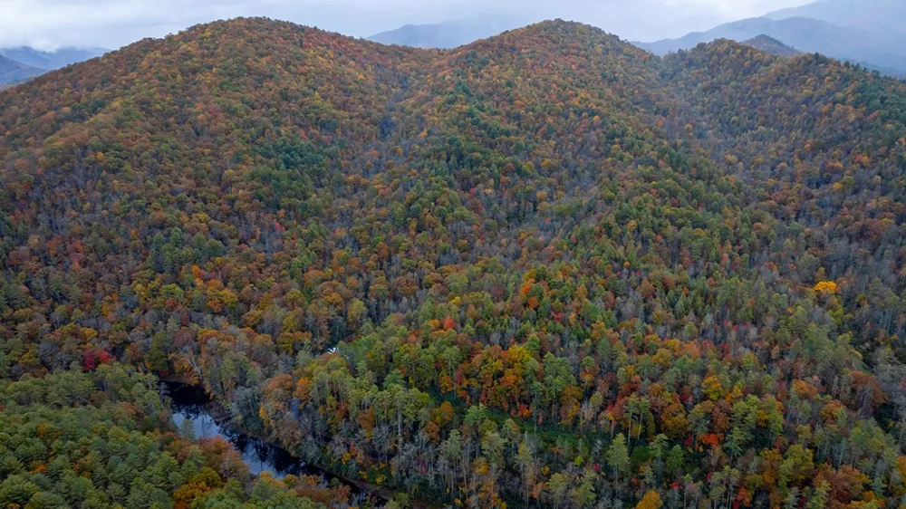 3549P Snowbird Road Robbinsville, NC 28771