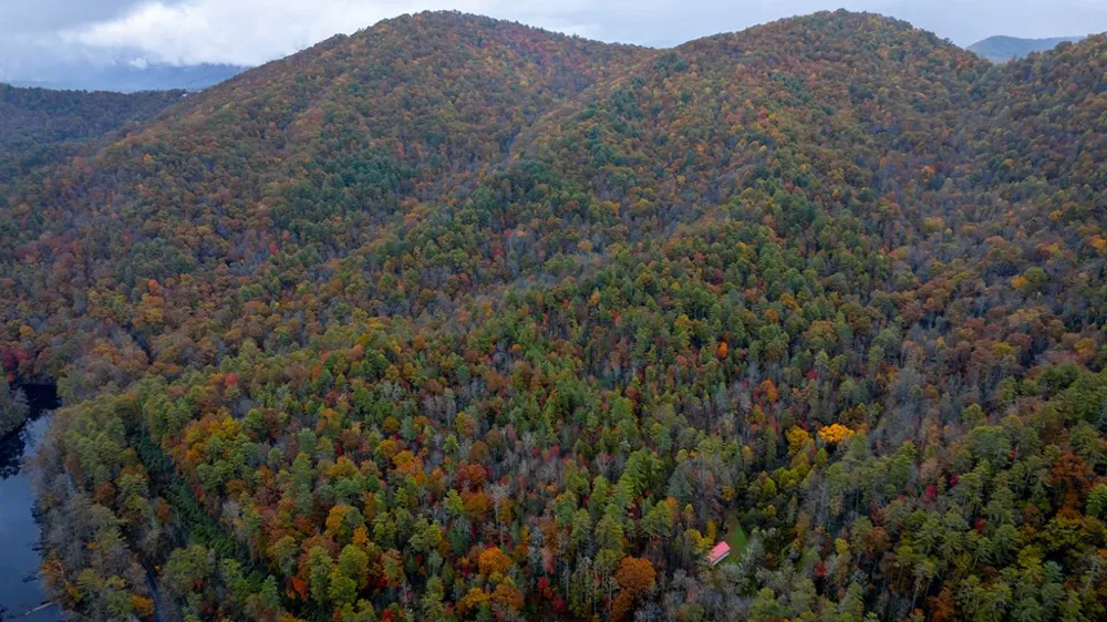 3549P Snowbird Road Robbinsville, NC 28771