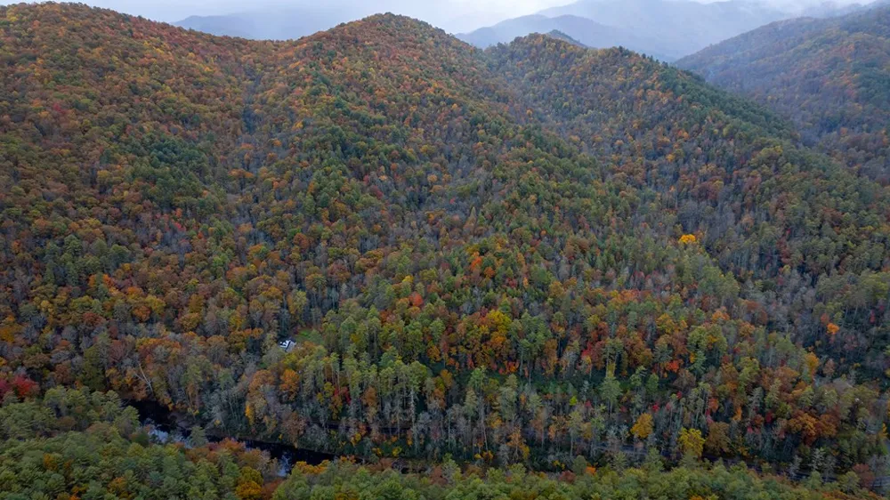 3549P Snowbird Road Robbinsville, NC 28771