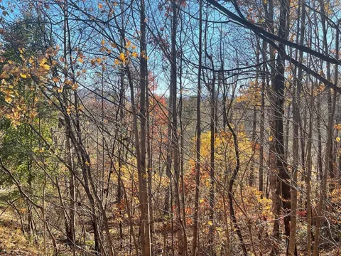 Lot 41c Ash Branch Circle