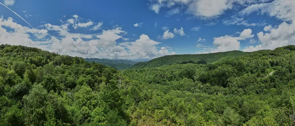 Lot 24 Piedmont Drive