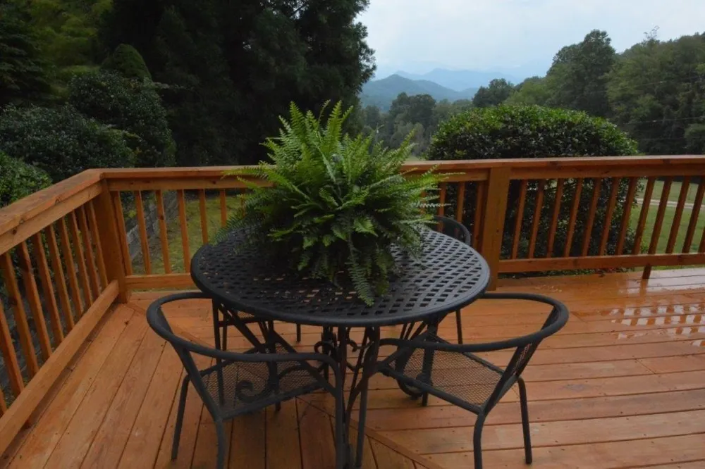 1620 E Buffalo Road Robbinsville, NC 28771