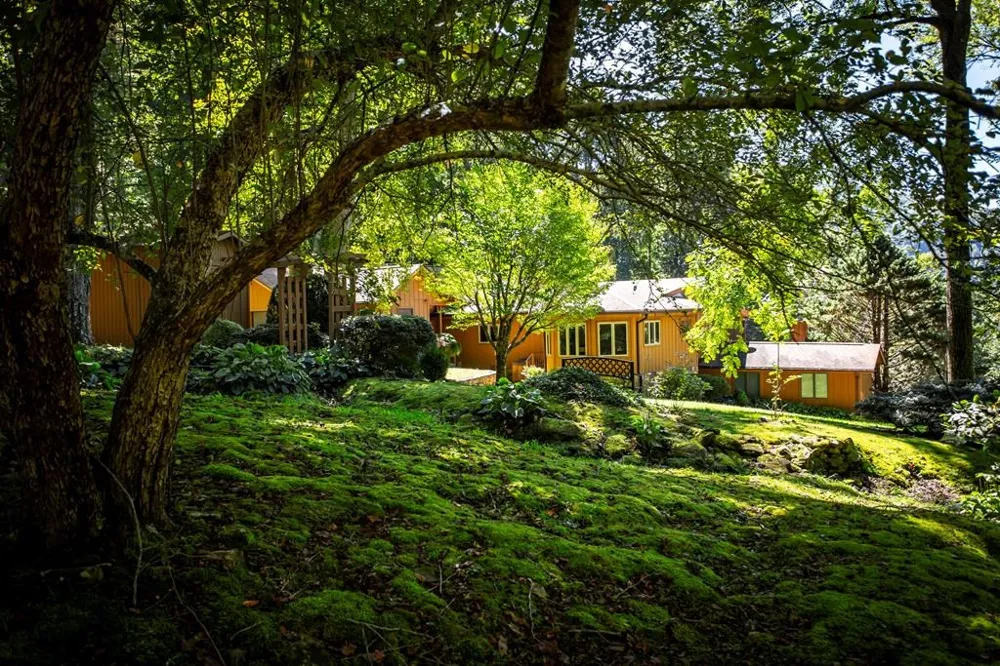 1620 E Buffalo Road Robbinsville, NC 28771