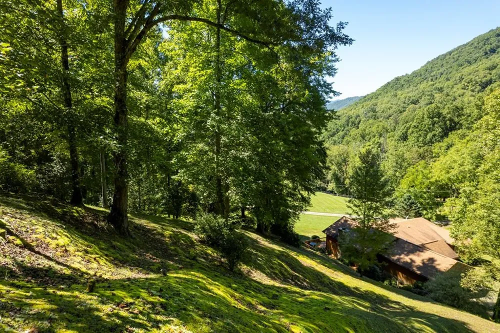 1620 E Buffalo Road Robbinsville, NC 28771