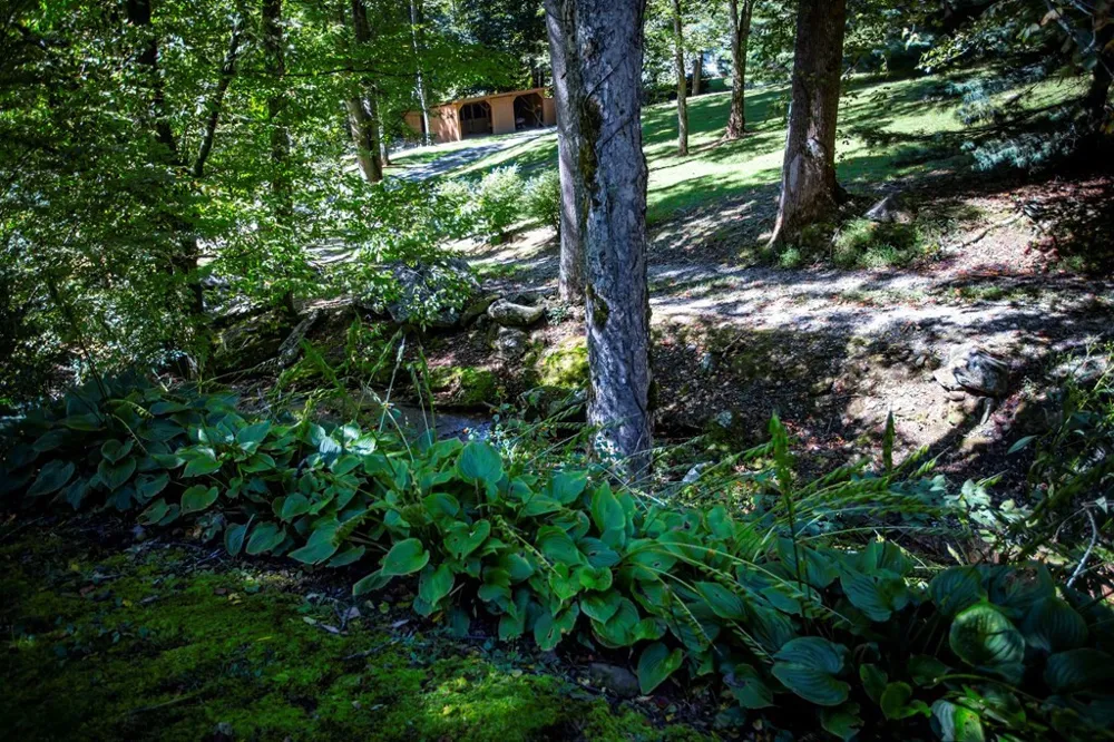 1620 E Buffalo Road Robbinsville, NC 28771