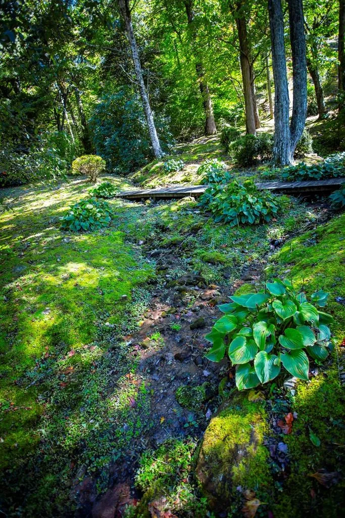 1620 E Buffalo Road Robbinsville, NC 28771