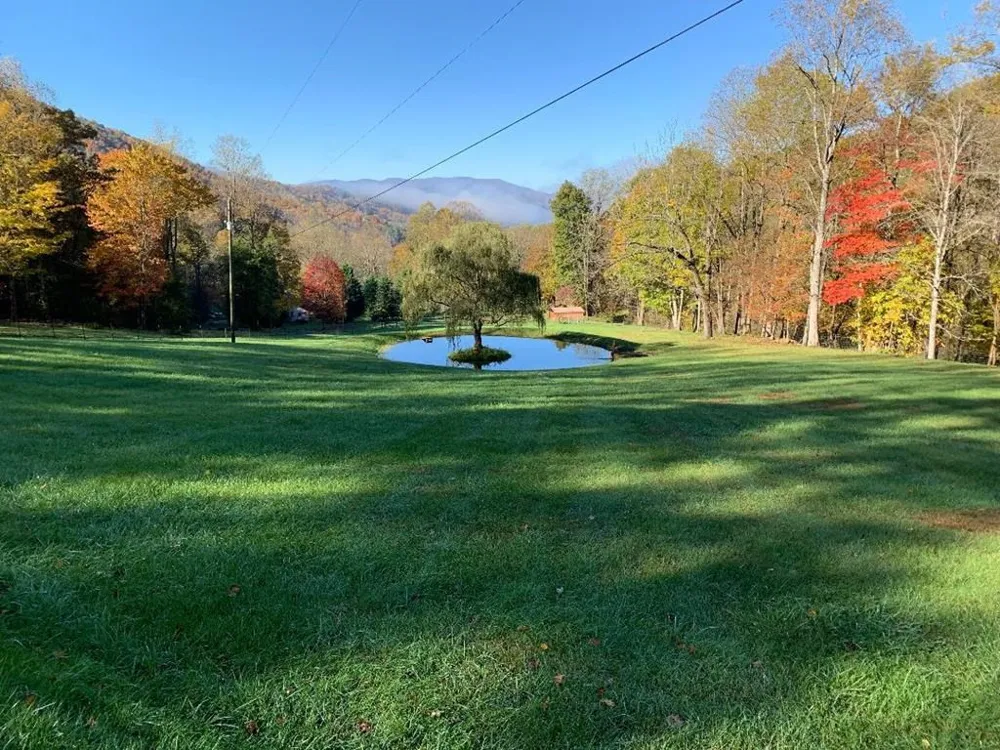 1620 E Buffalo Road Robbinsville, NC 28771