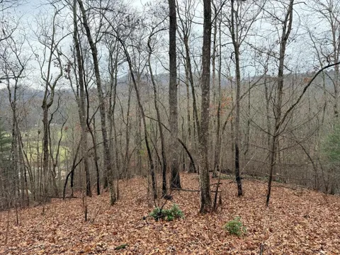 0 Flaming Ridge