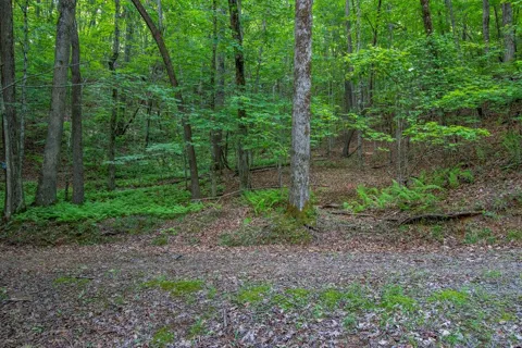 00 Laurel Mountain Road