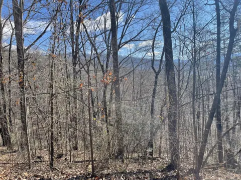 Lot 37c Ash Branch Circle