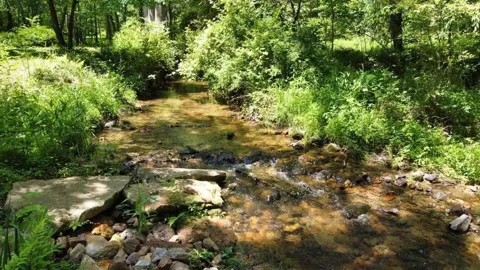 Tract 1 Timber Ridge Road