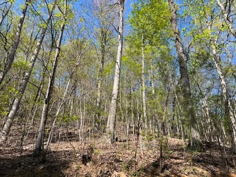 Lot 2B Grandview Drive