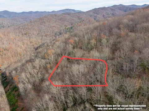 Lot 5 Mountain Tabor