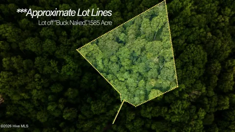 Lot Off Buck Naked Road